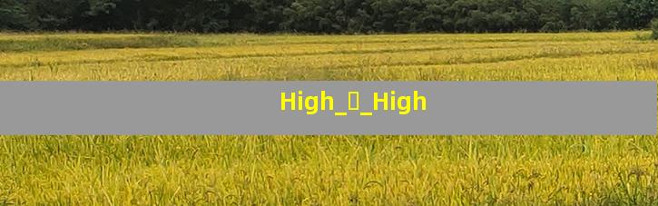 High_ӱ_High