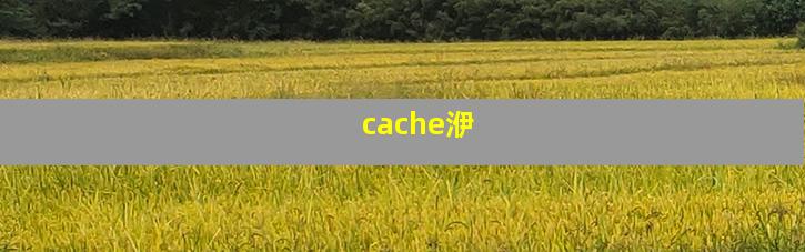 cache洢