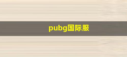 pubg国际服