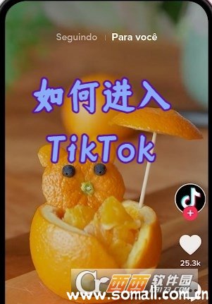 TikTokʰ°